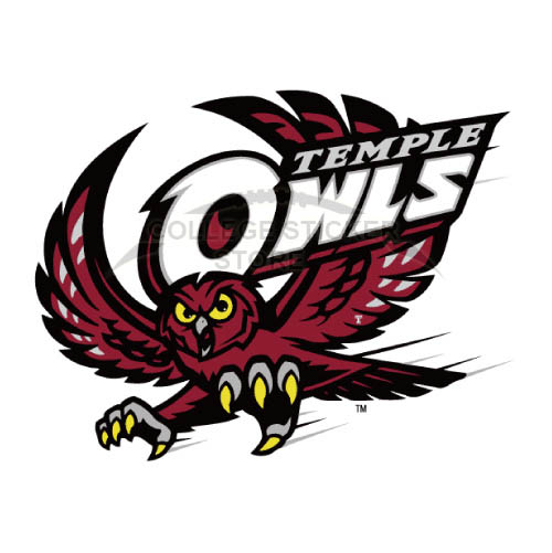 Homemade Temple Owls Iron-on Transfers (Wall Stickers)NO.6445